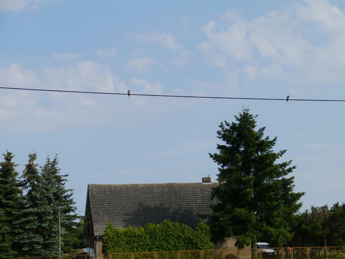 Ferienwohnung Im Neubauernweg 3 Hoppegarten Bagian luar foto