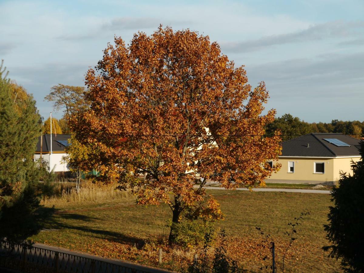 Ferienwohnung Im Neubauernweg 3 Hoppegarten Bagian luar foto